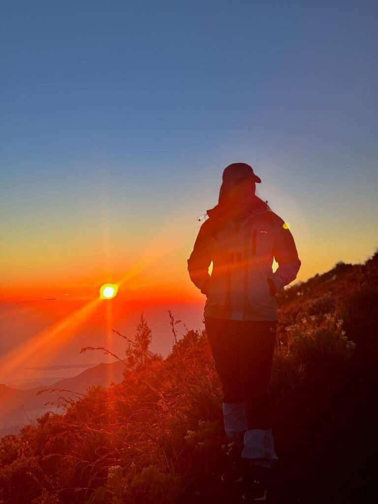 International Travelers